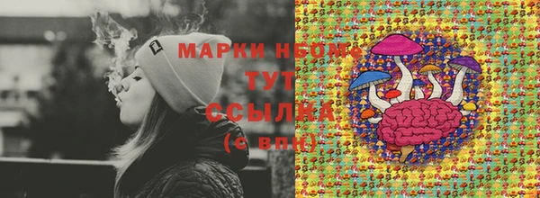 ПСИЛОЦИБИНОВЫЕ ГРИБЫ Баксан