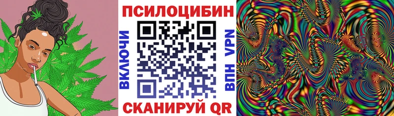 hydra tor  Пролетарск  Псилоцибиновые грибы Cubensis 