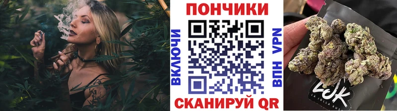 магазин    Пролетарск  Бошки Шишки ГИДРОПОН 
